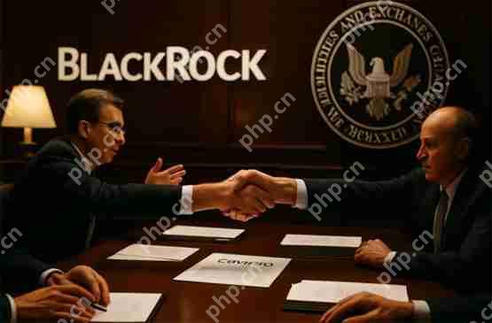 一文了解贝莱德与美国sec会谈：加密货币etf的质押、期权及代币化监管